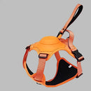 49147426079032|49147426111800|49147426177336