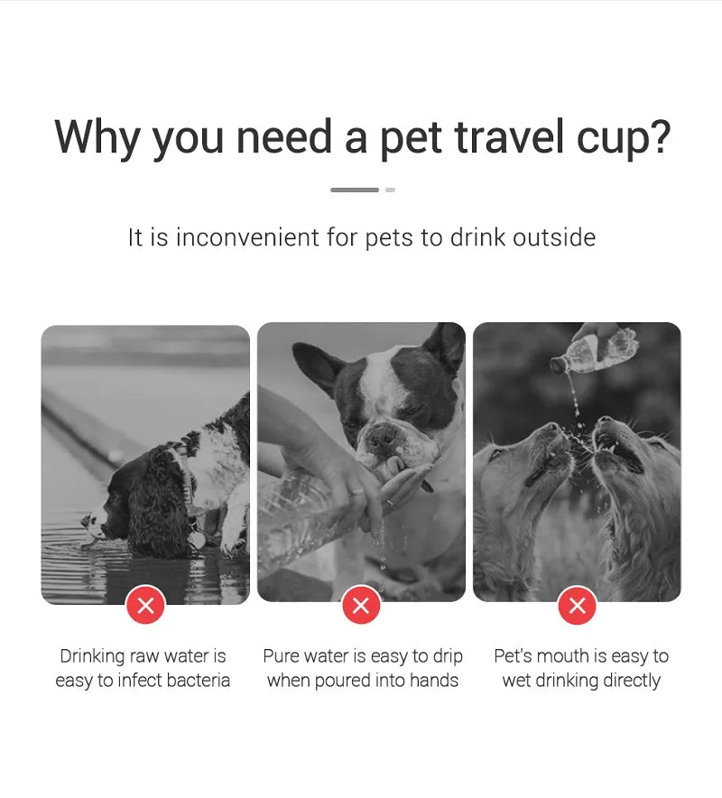 Portable Pet Bottle water