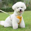 Adjustable Harness Leash - Find For Pets