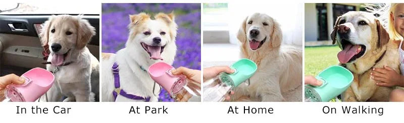 Portable Pet Bottle water