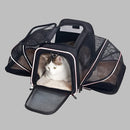 49255531315512|49255531348280