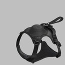 49147425882424|49147425915192|49147425980728