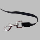 Retractable Leash - Find For Pets