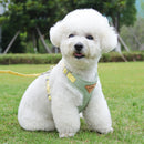 Adjustable Harness Leash - Find For Pets