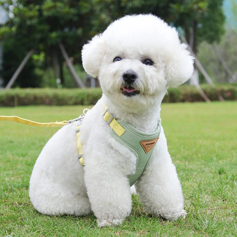 Adjustable Harness Leash