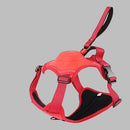 49147425816888|49147425849656|49147426144568