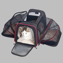 49255531184440|49255531217208