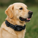 SmartPaw GPS Tracker Collar