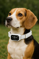 SmartPaw GPS Tracker Collar