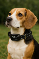 SmartPaw GPS Tracker Collar