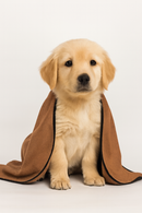 Soft Microfiber Pet Drying Towel - Absorbent Fleece Wrap for Puppies